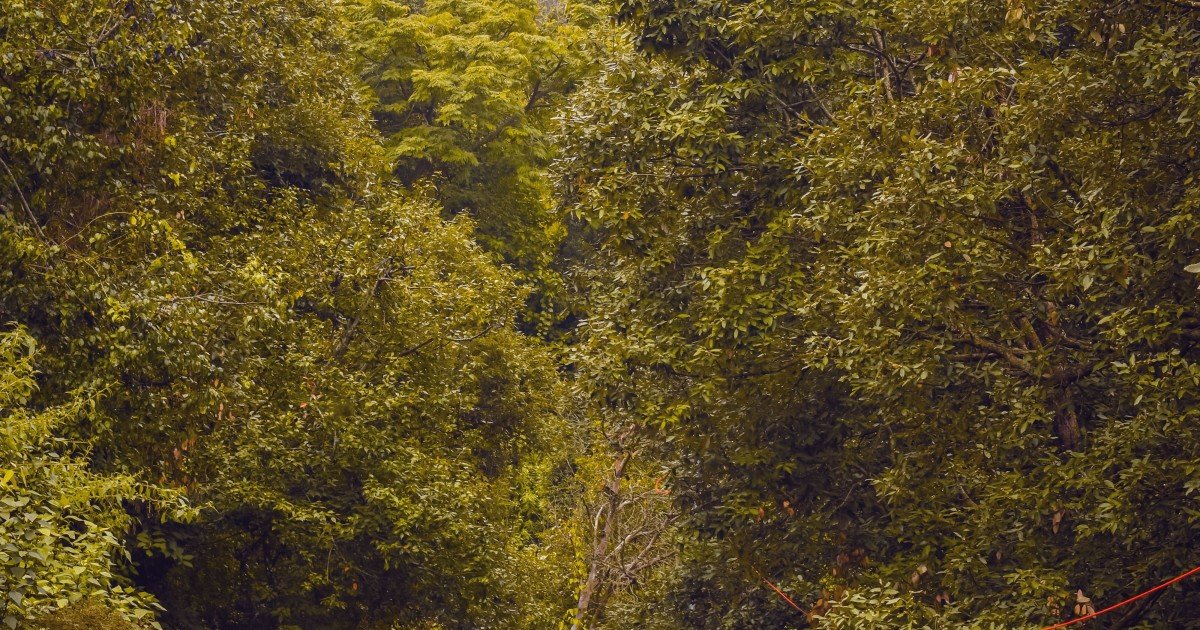 Offbeat Places to Explore Around Nainital in One Day
